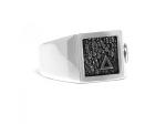 E442SIL Zegel Ring ELEMENTS Collectie