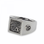 E442SIL Zegel Ring ELEMENTS Collectie