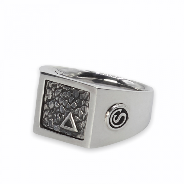 E442SIL Zegel Ring ELEMENTS Collectie